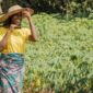 countryside woman out field_23 2148761762 85x85